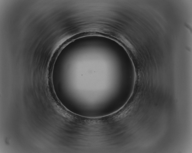 X0000093371020200710111432