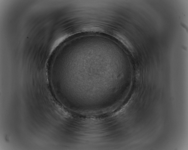X0000093371022200710111432