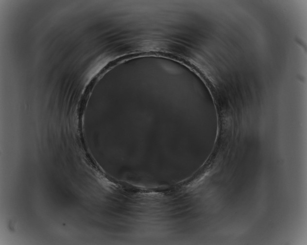 X0000093371023200710111432