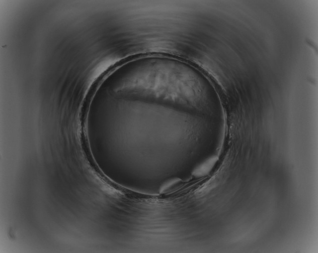 X0000093371024200710111432