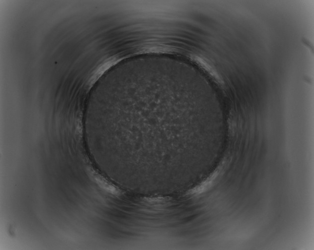 X0000093371025200710111432