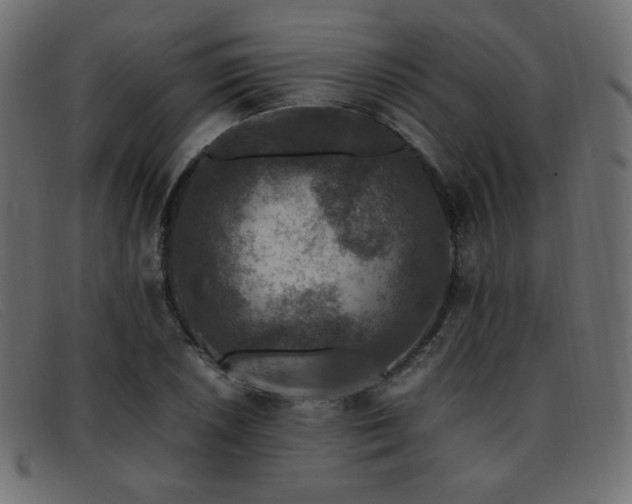 X0000093371026200710111432