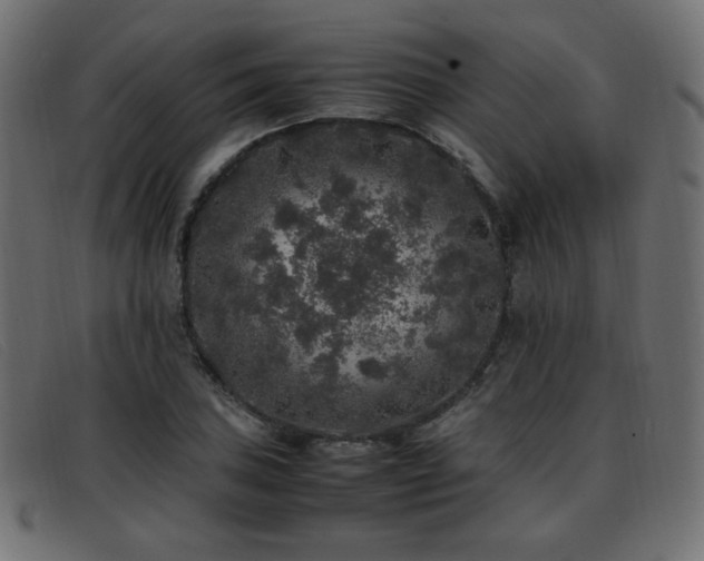 X0000093371027200710111433