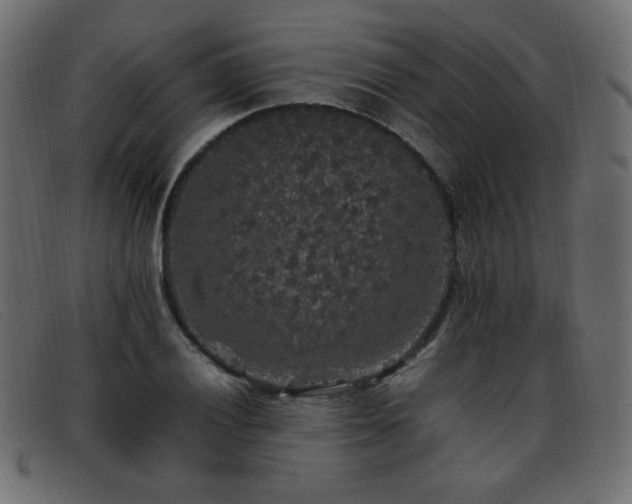 X0000093371028200710111433