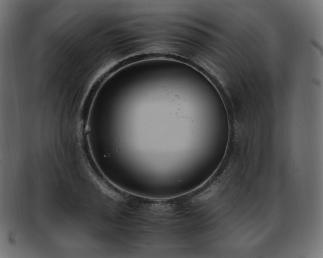 X0000093371029200710111433