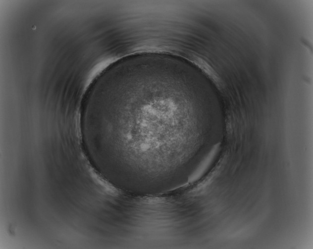 X0000093371030200710111433