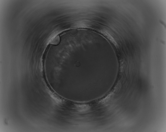 X0000093371031200710111433