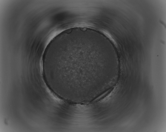 X0000093371032200710111433