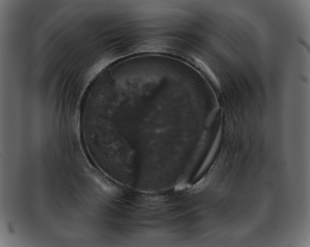 X0000093371035200710111433