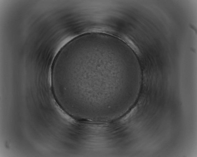 X0000093371036200710111433