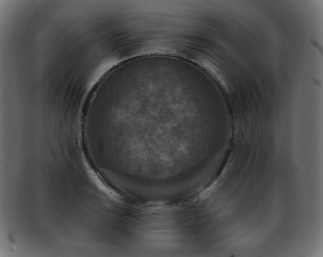 X0000093371038200710111433