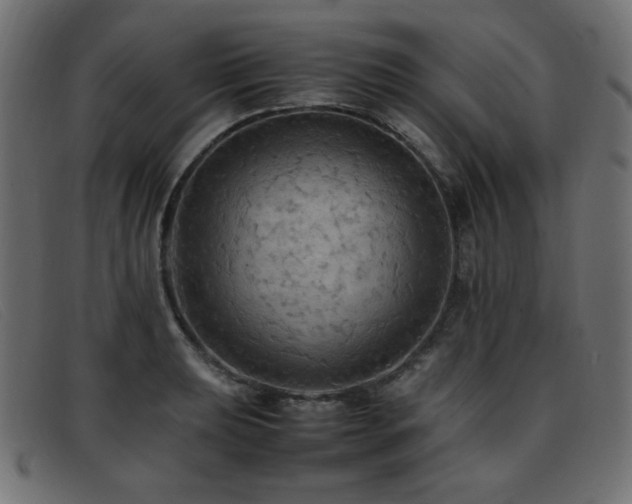 X0000093371039200710111433