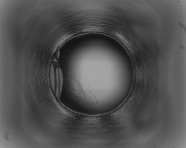 X0000093371041200710111433