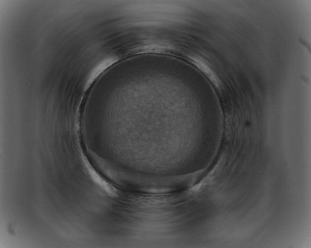 X0000093371042200710111433