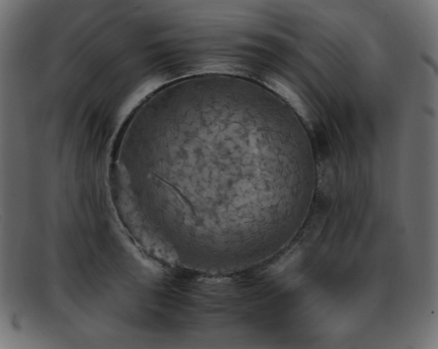 X0000093371043200710111433