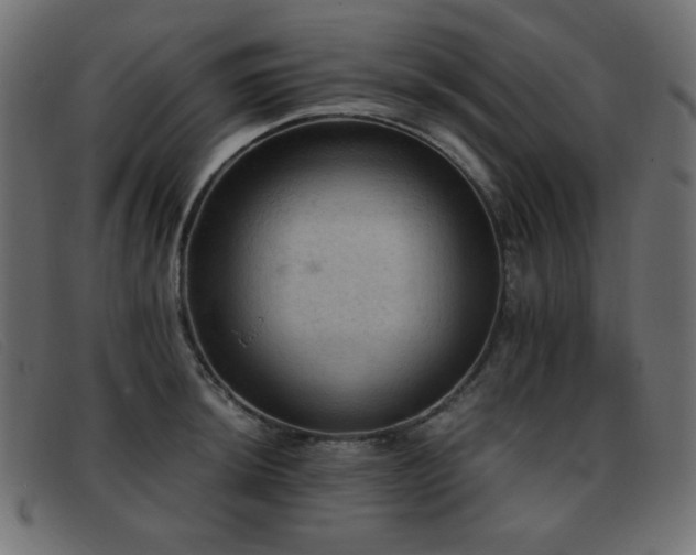 X0000093371044200710111433