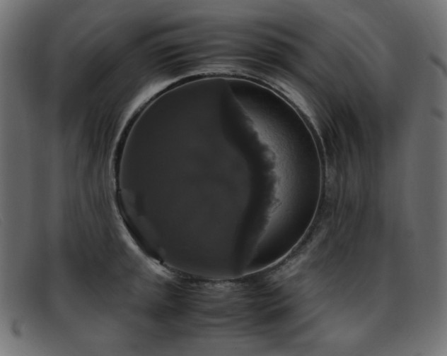 X0000093371045200710111433