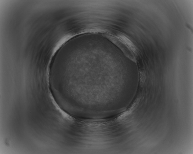 X0000093371046200710111433