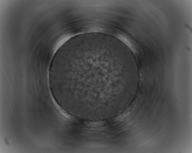 X0000093371047200710111433