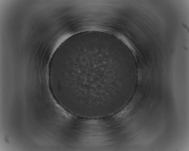 X0000093371048200710111433