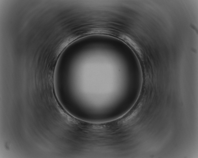 X0000093371049200710111433