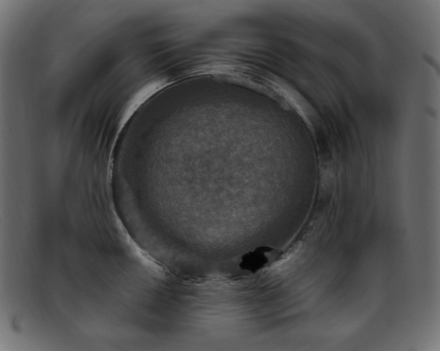 X0000093371050200710111433