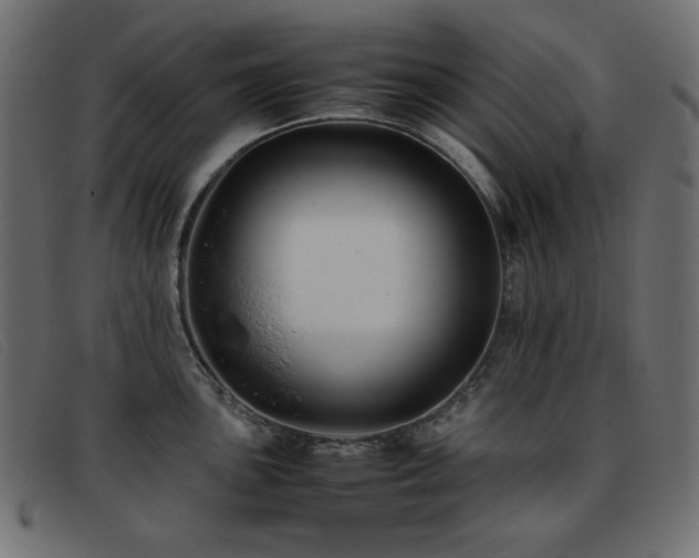 X0000093371051200710111433