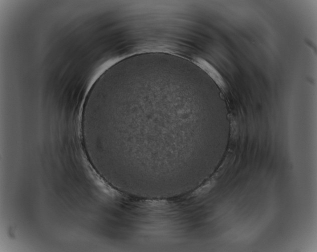 X0000093371052200710111433