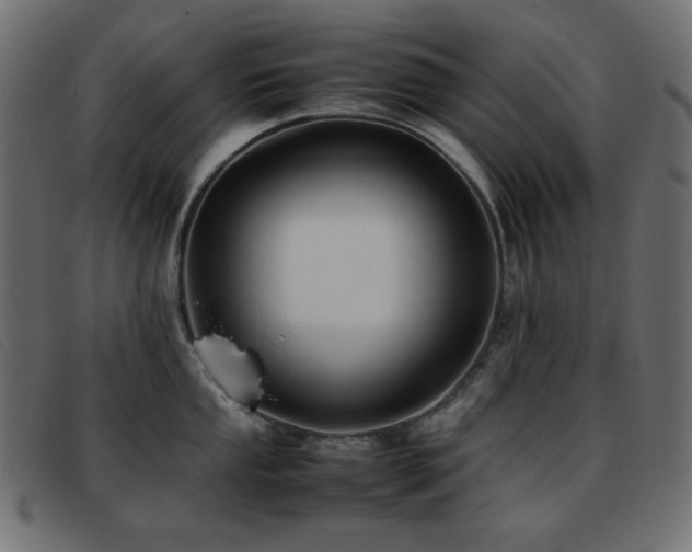 X0000093371053200710111433