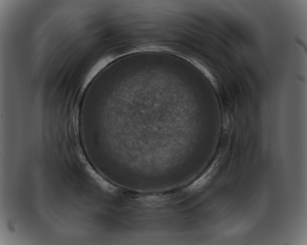 X0000093371054200710111433