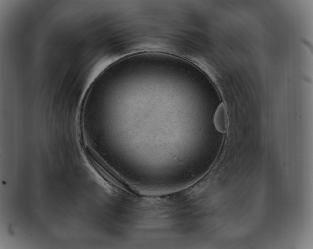 X0000093371056200710111433