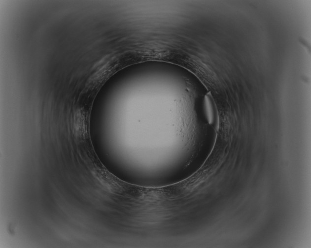 X0000093371058200710111432