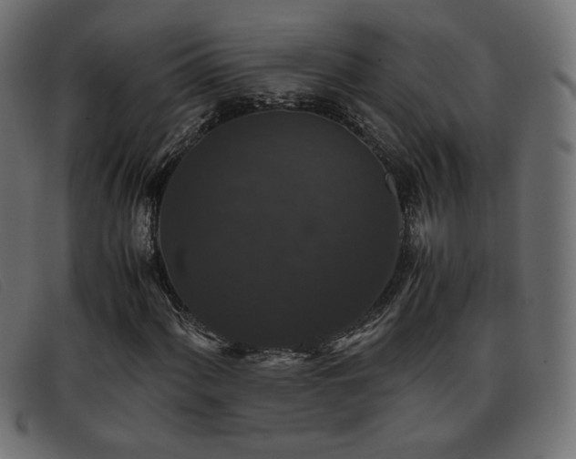 X0000093371060200710111432