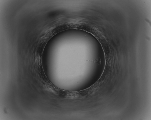 X0000093371061200710111432