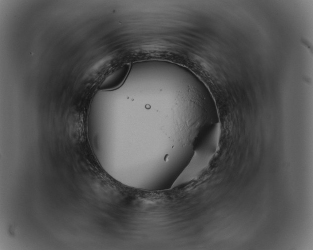 X0000093371062200710111432
