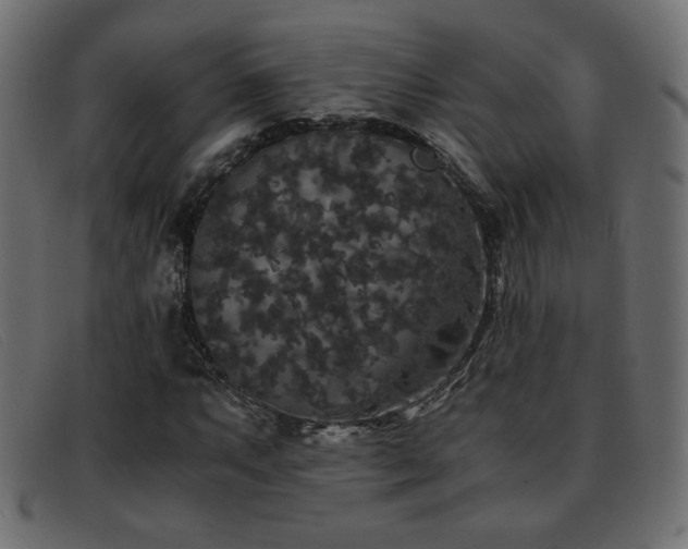 X0000093371063200710111432