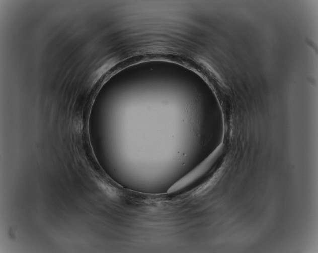 X0000093371065200710111432