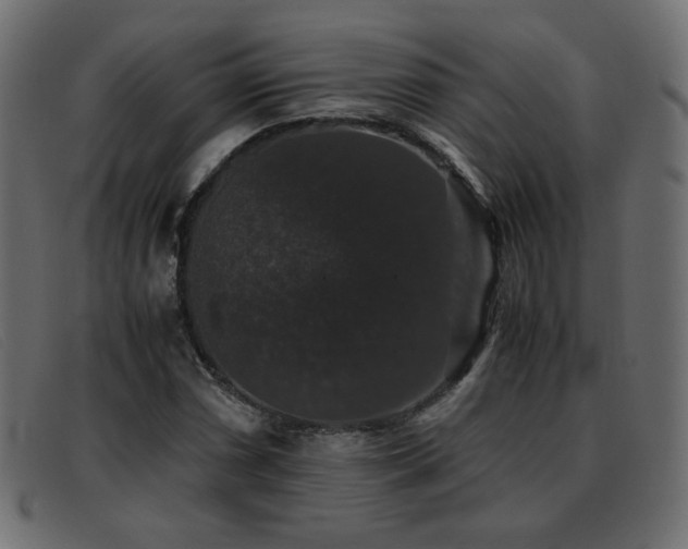 X0000093371066200710111432