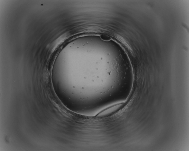 X0000093371067200710111432