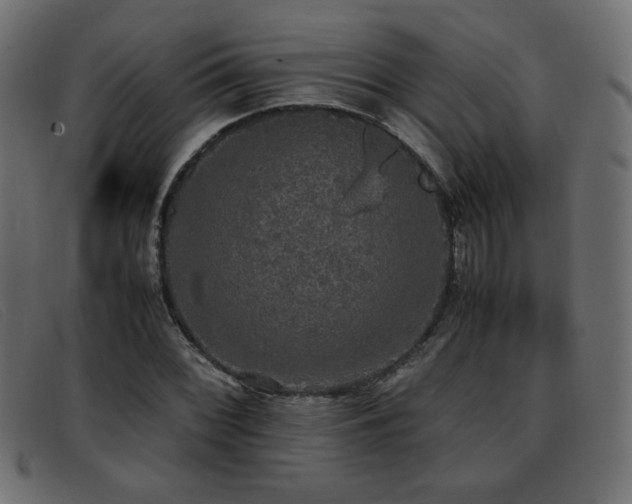 X0000093371068200710111432