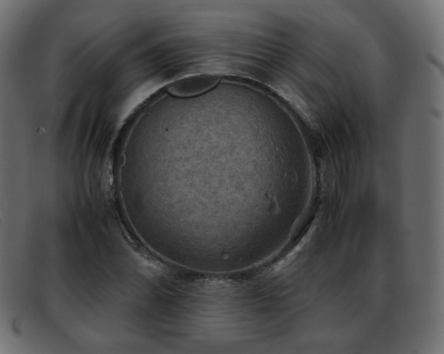 X0000093371070200710111432