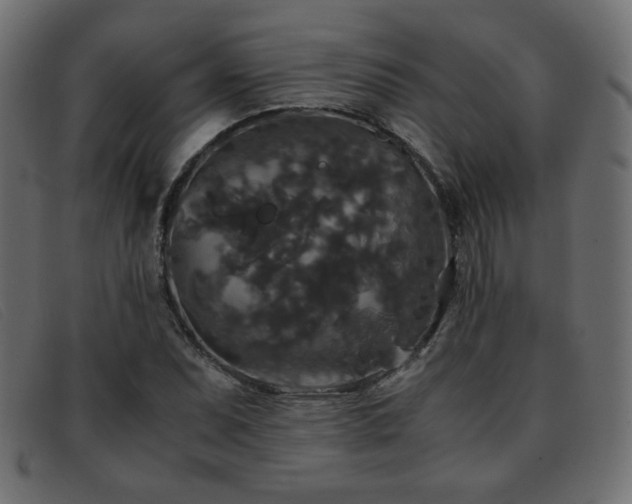 X0000093371071200710111432
