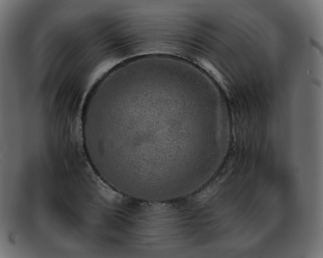 X0000093371072200710111432