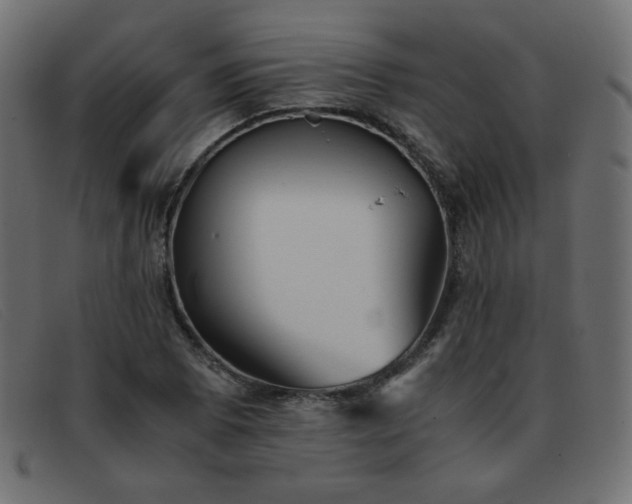 X0000093371073200710111432