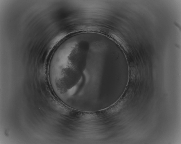 X0000093371074200710111432
