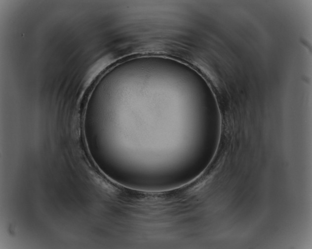 X0000093371075200710111432