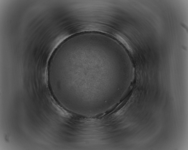 X0000093371076200710111432