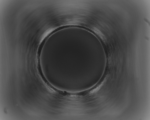 X0000093371077200710111432