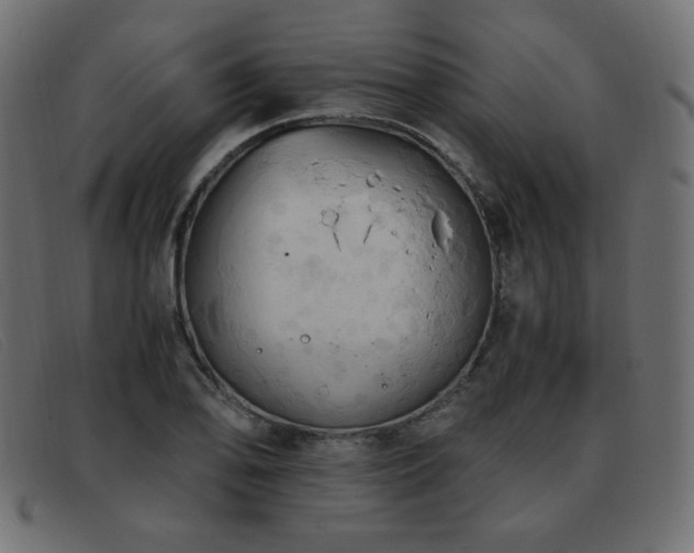 X0000093371078200710111432