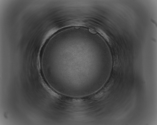 X0000093371080200710111432